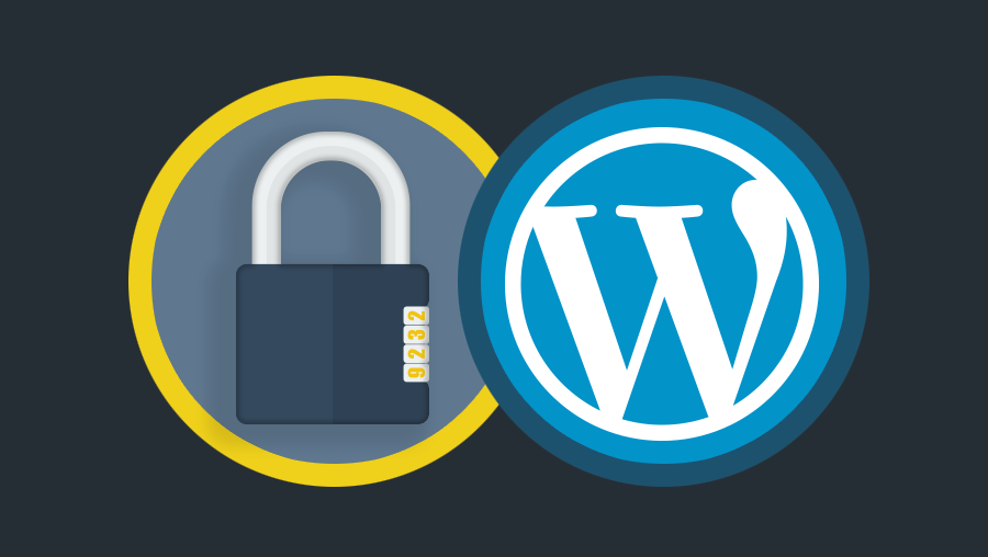 VPN: WordPress Security